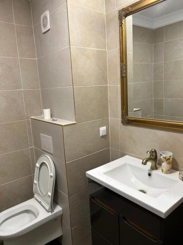 弗洛雷什蒂vivo residence ,AMETHYST的一间带水槽、卫生间和镜子的浴室