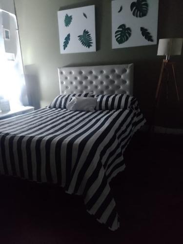 埃塞萨La familia的一张带黑白条纹棉被的床