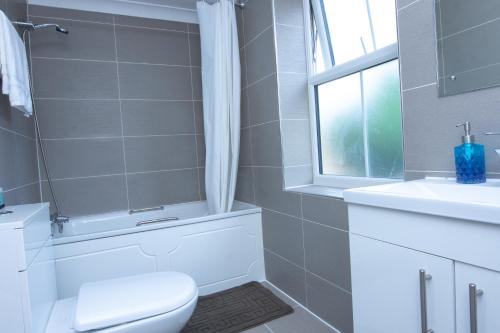 伦敦Evergreen Apartments-Flat 4, London的一间带卫生间、水槽和窗户的浴室