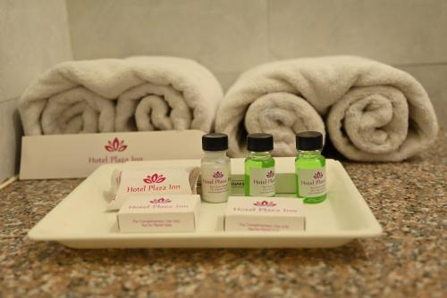 阿杰梅尔阿杰梅尔普拉扎酒店的包括2瓶面部保湿器和毛巾的托盘