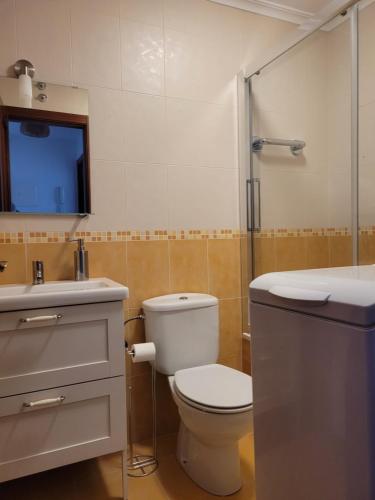 鲁伊德拉Ruidera entre balcones的浴室配有卫生间、盥洗盆和淋浴。