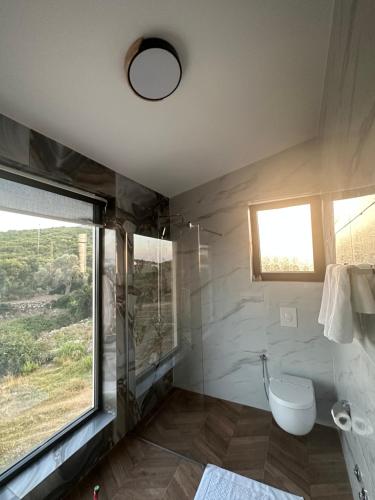 乌尔齐尼CAROLEA VILLAS的一间带卫生间和窗户的浴室