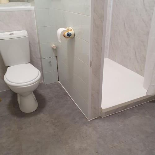 坎特伯雷Canterbury Delight的浴室配有白色卫生间和淋浴。