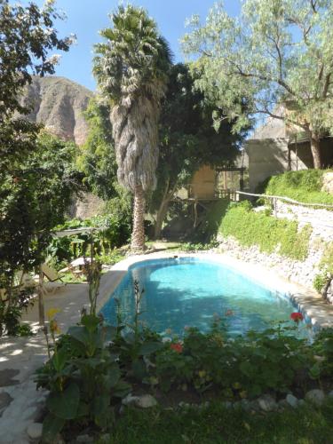 MalataSangalle Cielo Lodge的棕榈树庭院中的游泳池