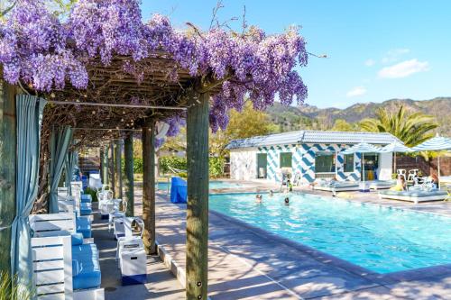 卡利斯托加Calistoga Motor Lodge and Spa, a JdV by Hyatt Hotel的一座游泳池,里面的紫色紫藤悬在凉棚里