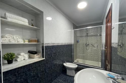 菲尼斯特雷SanMar的浴室配有卫生间、淋浴和盥洗盆。