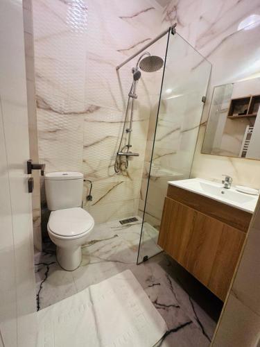 索维拉Appartement jade的一间带卫生间和水槽的浴室