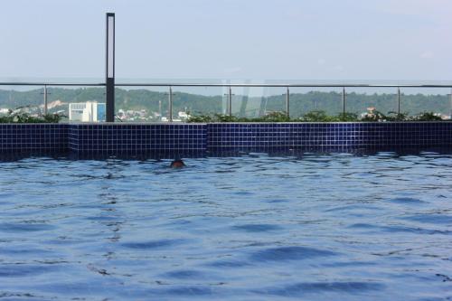 巴淡岛中心Galeno Pollux Habibie的在游泳池游泳的人