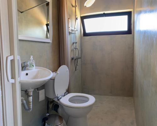埃拉福尼西岛Ariadne的一间带卫生间和水槽的小浴室