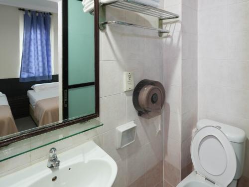 新加坡Amrise Hotel的一间带卫生间、水槽和镜子的浴室