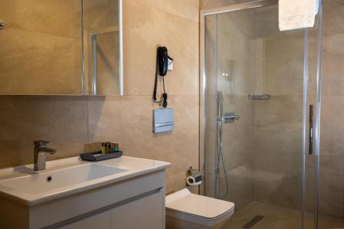 伯萨Leo Suites的带淋浴、盥洗盆和卫生间的浴室