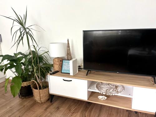 布达佩斯Beethoven Apartman的配有植物电视架上的平面电视