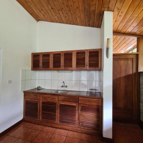 阿鲁沙Olosiva Oasis的一个带水槽和木橱柜的厨房
