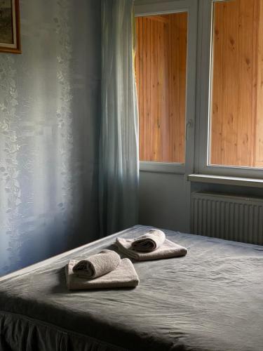 塔塔里夫Садиба Диво Квітка的两条毛巾坐在房间里的床边