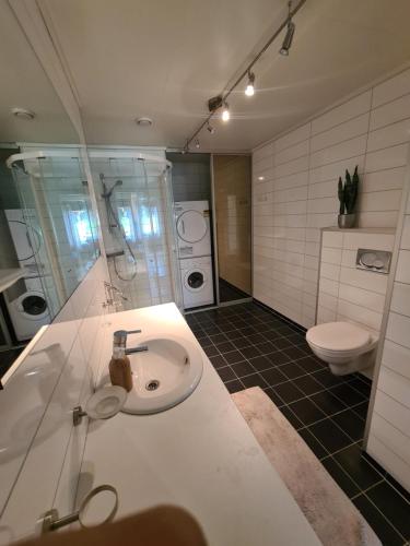 特罗姆瑟Aurora apartment in Kvaloya Tromso的一间带水槽和卫生间的浴室