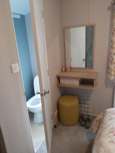 查茅斯Wood Farm Holiday Park的一间带水槽、卫生间和镜子的浴室