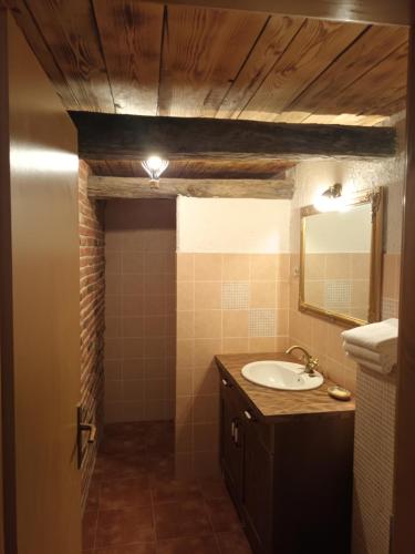塞扎纳Apartma Brina 3的一间带水槽和镜子的浴室