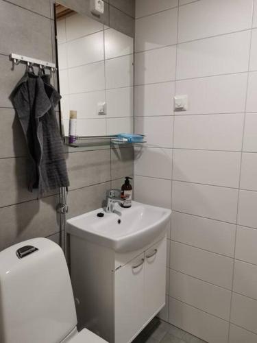 科科拉Ihana yksiö的一间带水槽、卫生间和镜子的浴室