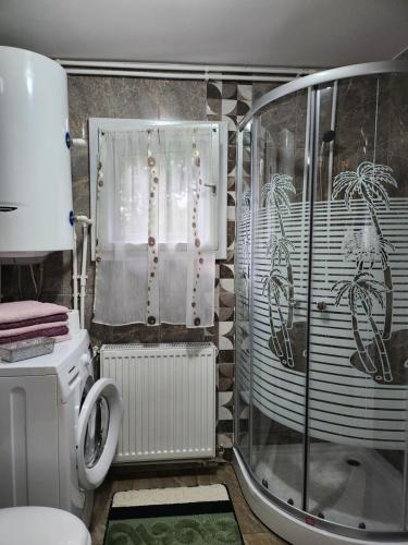 托普利察Casa din livadă - Cazare Măgheruș的带淋浴和卫生间的小浴室