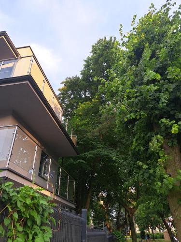 赫尔Domek w Parku Hel的树旁有栅栏的房子