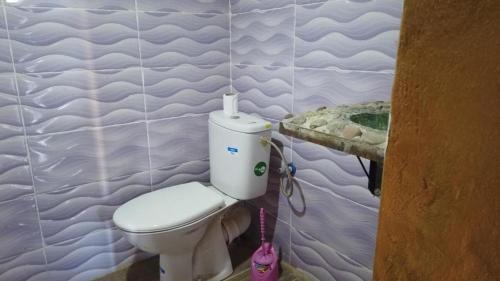 姆哈米德Camp Sahara Dunes的瓷砖墙内带卫生间的浴室
