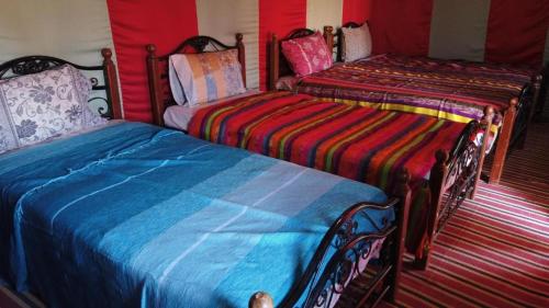 姆哈米德Camp Sahara Dunes的红色墙壁客房的两张床