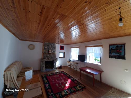 斯库台Mountain Vista Guesthouse Shkafi的带沙发和木天花板的客厅