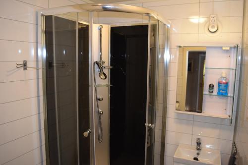 HamneideCaptains House的带淋浴、盥洗盆和镜子的浴室