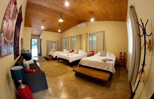 普拉亚埃尔莫萨Soul Sync Sanctuary formally Hacienda la Moringa的酒店客房,设有两张床和一张沙发