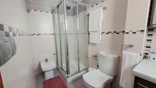 塞维利亚Apartamentos TrianaSol的带淋浴、卫生间和盥洗盆的浴室