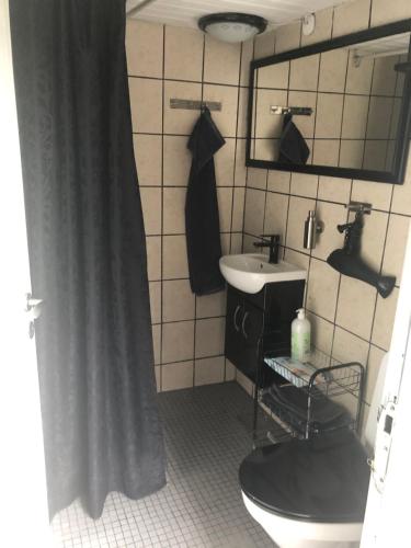 瓦埃勒提拉布耶格旅馆的浴室配有淋浴帘和盥洗盆。