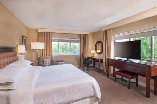 弗雷明翰Sheraton Framingham Hotel & Conference Center的酒店客房配有一张床、一张书桌和一台电视。