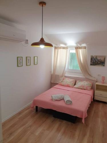 恰斯林ירוק בגולן的卧室配有粉红色的床和窗户。