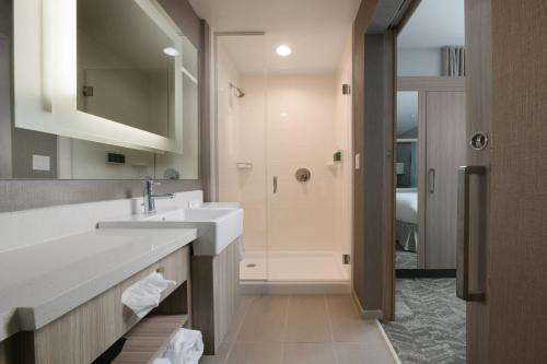 德克萨斯城SpringHill Suites by Marriott Texas City的一间带水槽和淋浴的浴室