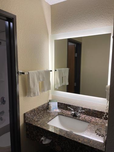 奇珀瓦福尔斯齐佩瓦瀑布阿美瑞辛酒店的一间带水槽和大镜子的浴室