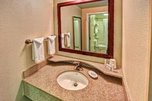 诺福克诺福克奥多明尼奥大学春季山丘套房酒店的一间带水槽和镜子的浴室