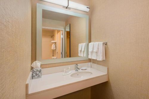 南本德SpringHill Suites Mishawaka-University Area的一间带水槽和镜子的浴室