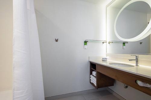 坦帕坦帕棕榈/北坦帕春季山丘套房酒店的一间带水槽和镜子的浴室