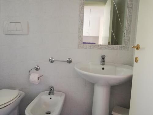 普罗基奥la raganella - appartamento的一间带水槽、卫生间和镜子的浴室