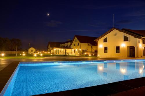 阿尔巴尤利亚阿乐格利亚酒店的夜间带游泳池的别墅