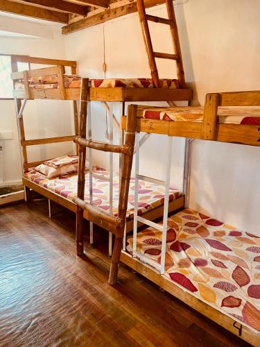 莫阿尔博阿Babu Backpackers inn的铺有木地板的客房内配有两张双层床。