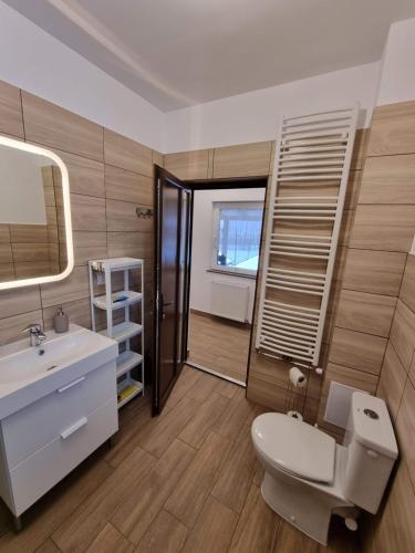VoroneţCasa Lia Voroneț的一间带卫生间、水槽和镜子的浴室
