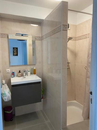 圣拉斐尔Le Poseidon的一间带水槽和淋浴的浴室