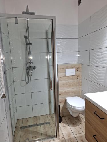 詹塔尔Omega Jantar的带淋浴和卫生间的浴室
