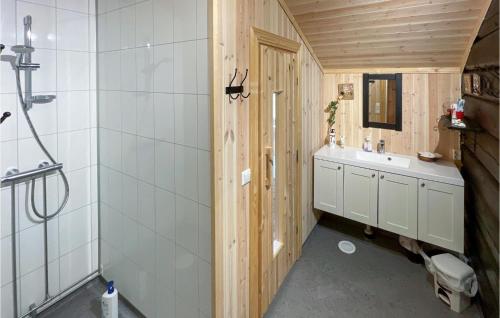 霍夫灵恩Awesome Home In Hvringen With Sauna的一间带水槽、卫生间和淋浴的浴室