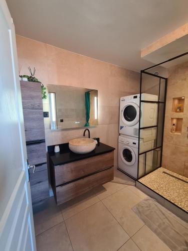 勒唐蓬Appartement Moderne & Chaleureux的一间带水槽和洗衣机的浴室