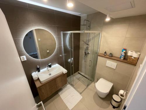 奥拉弗斯卡雷斯纳Apartmán Snow的带淋浴、盥洗盆和卫生间的浴室
