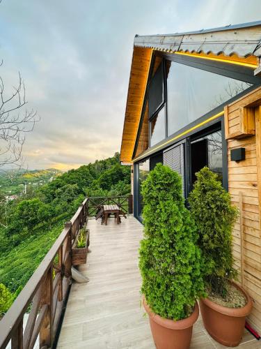 里泽Greenlife Dağevleri的种植盆栽植物的房屋阳台
