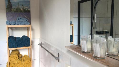 斯希蒙尼克奥赫Logeren bij de bakker的浴室设有毛巾架和镜子
