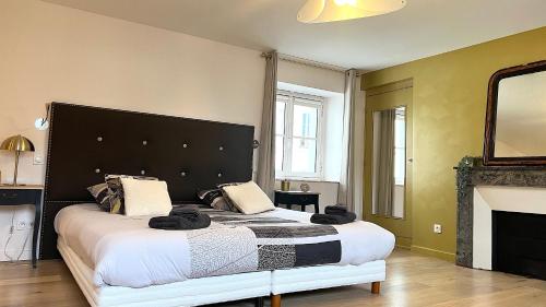 昂热Maison Bossoreil - Chambre Layon的一间卧室设有一张大床和一个壁炉